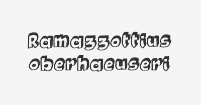 Thumbnail for lifespan of Ramazzottius oberhaeuseri