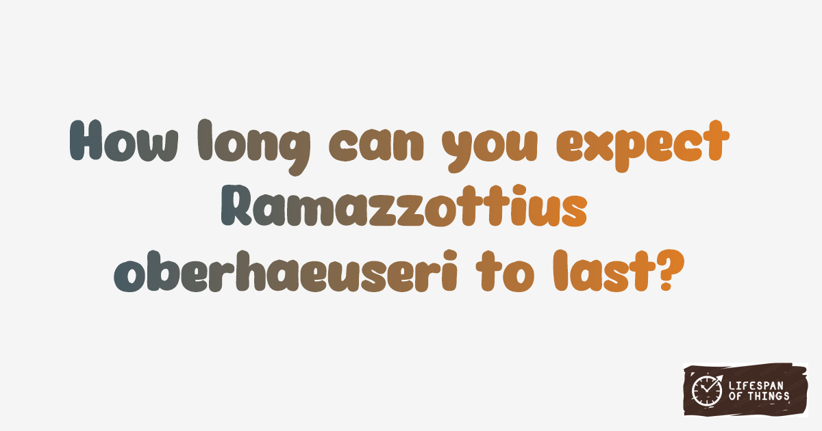Lifespan of Ramazzottius oberhaeuseri
