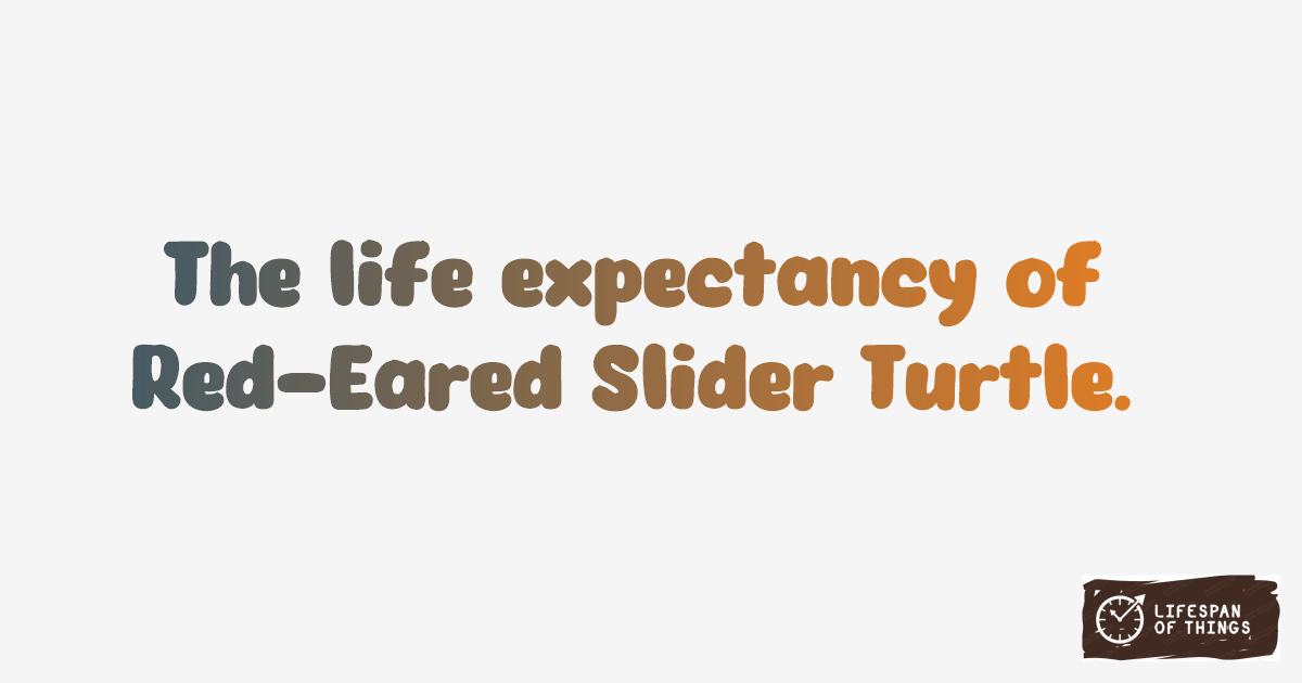 Lifespan of Red-Eared Slider Turtle