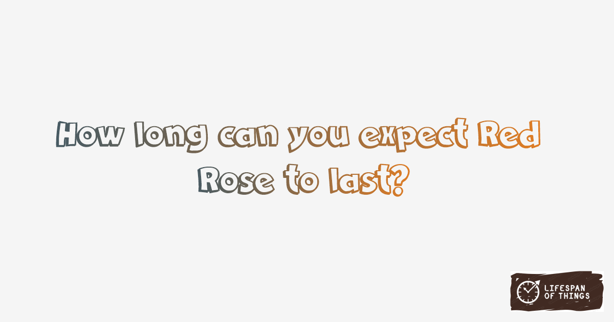 Lifespan of Red Rose