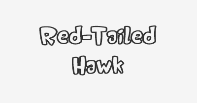 Thumbnail for lifespan of Red-Tailed Hawk