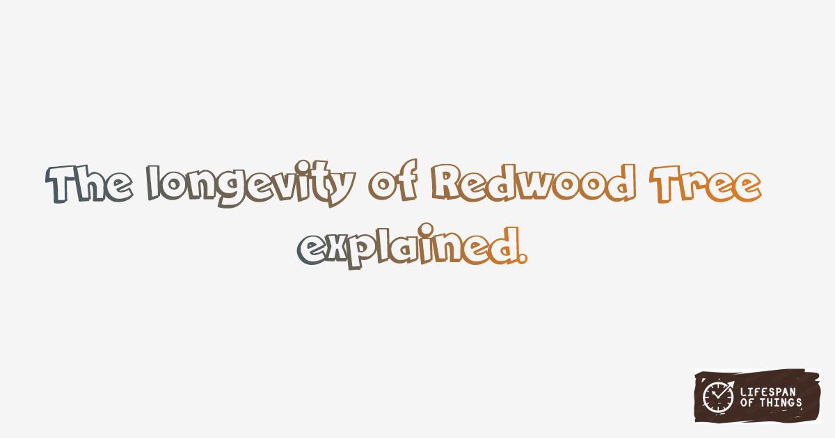 Lifespan of Redwood Tree