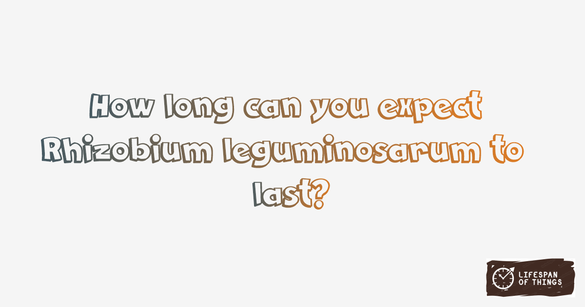 Lifespan of Rhizobium leguminosarum