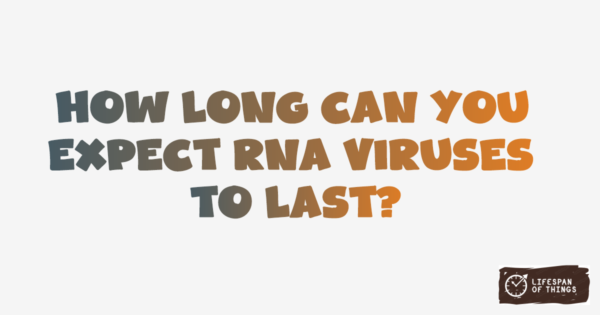 Lifespan of RNA Viruses