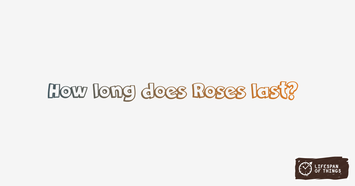 Lifespan of Roses