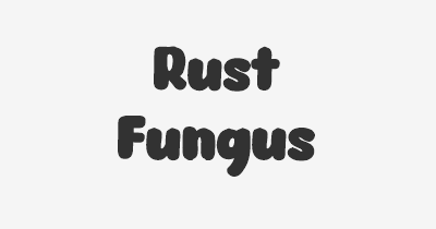 Thumbnail for lifespan of Rust Fungus