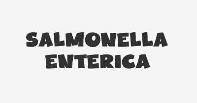 Thumbnail for lifespan of Salmonella enterica