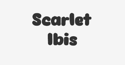 Thumbnail for lifespan of Scarlet Ibis