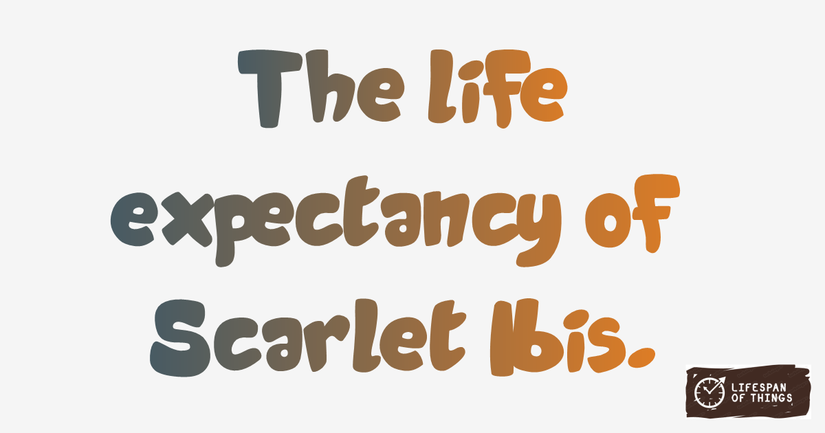 Lifespan of Scarlet Ibis