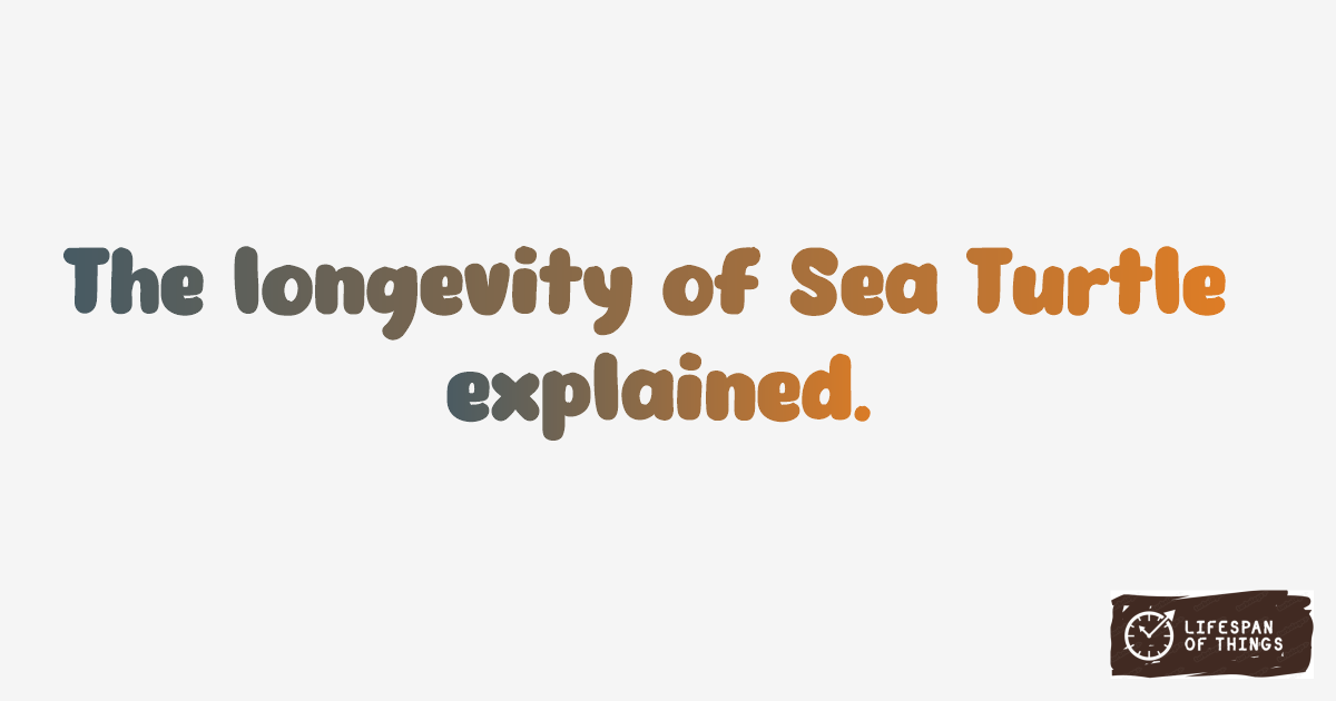 Lifespan of Sea Turtle