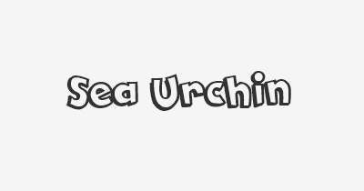 Thumbnail for lifespan of Sea Urchin