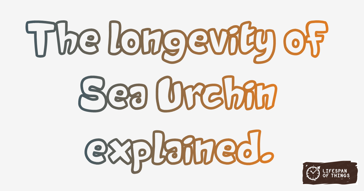 Lifespan of Sea Urchin