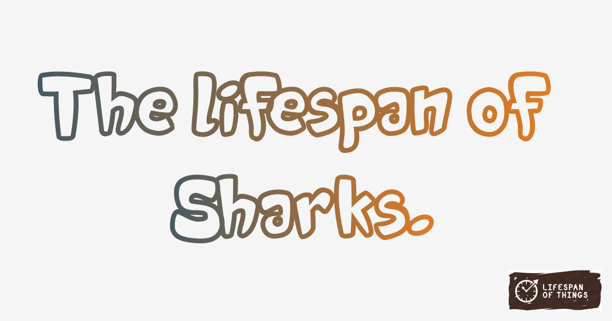 Lifespan of Sharks