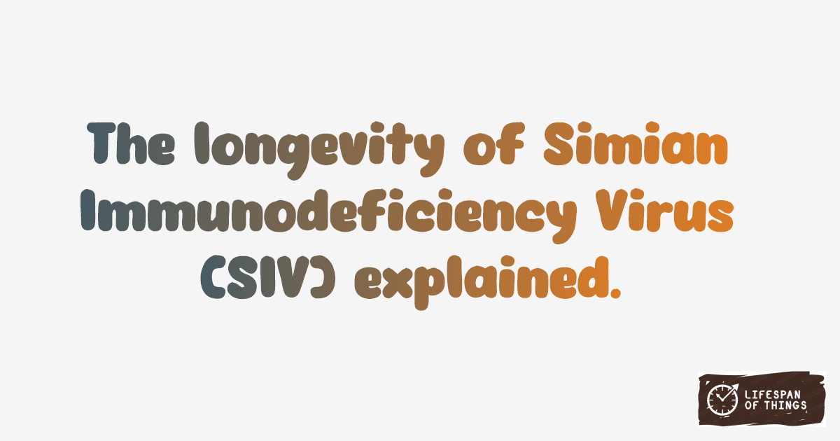 Lifespan of Simian Immunodeficiency Virus (SIV)