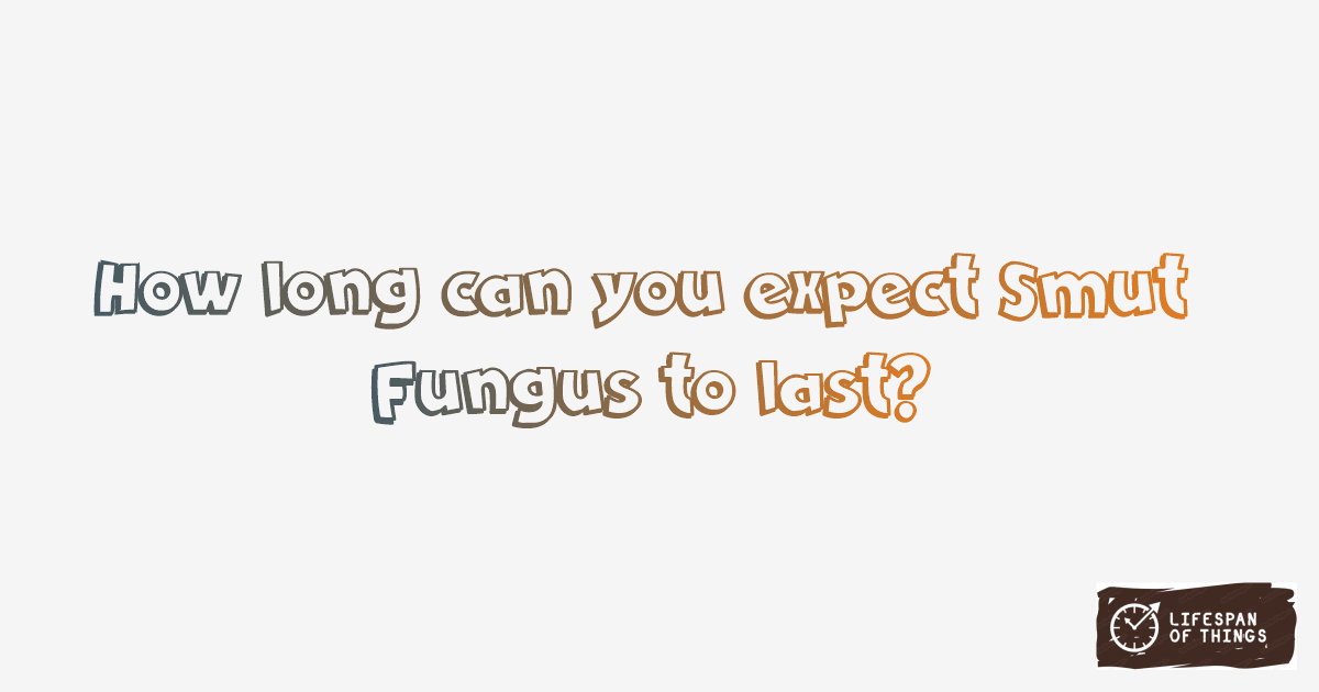 Lifespan of Smut Fungus