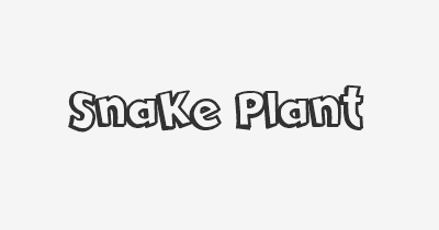 Thumbnail for lifespan of Snake Plant