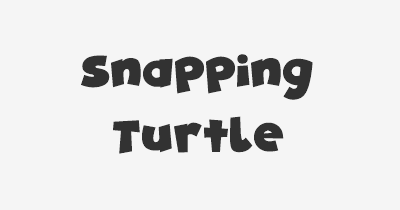 Thumbnail for lifespan of Snapping Turtle