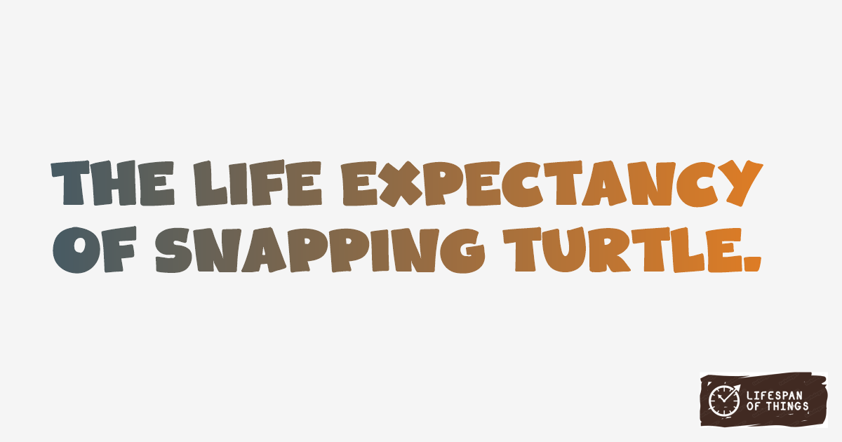Lifespan of Snapping Turtle