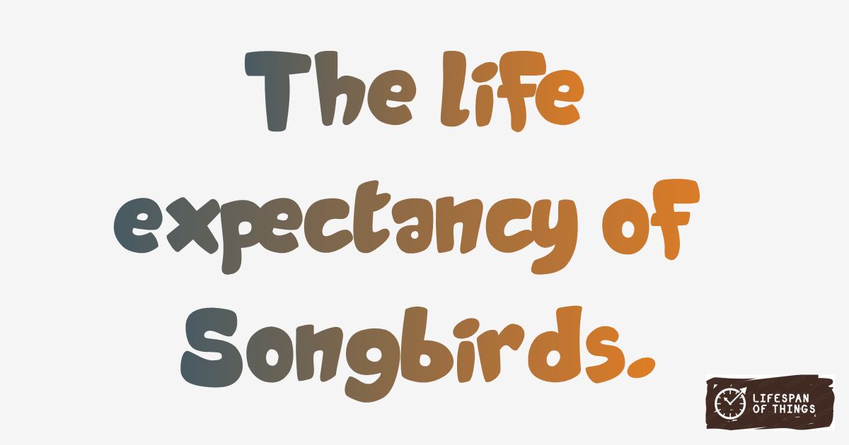 Lifespan of Songbirds