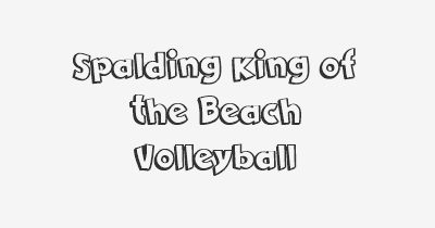 Thumbnail for lifespan of Spalding King of the Beach Volleyball