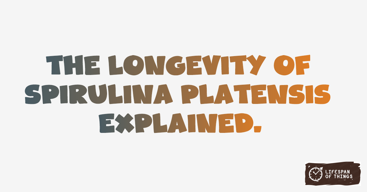Lifespan of Spirulina platensis