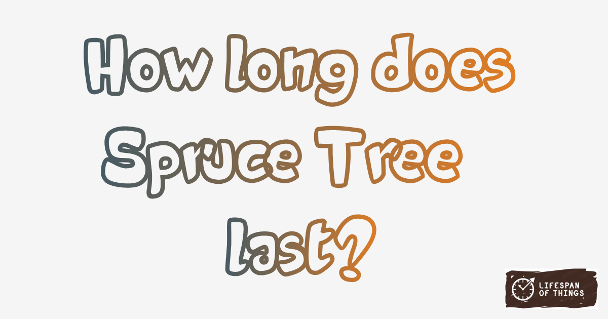 Lifespan of Spruce Tree