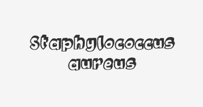 Thumbnail for lifespan of Staphylococcus aureus