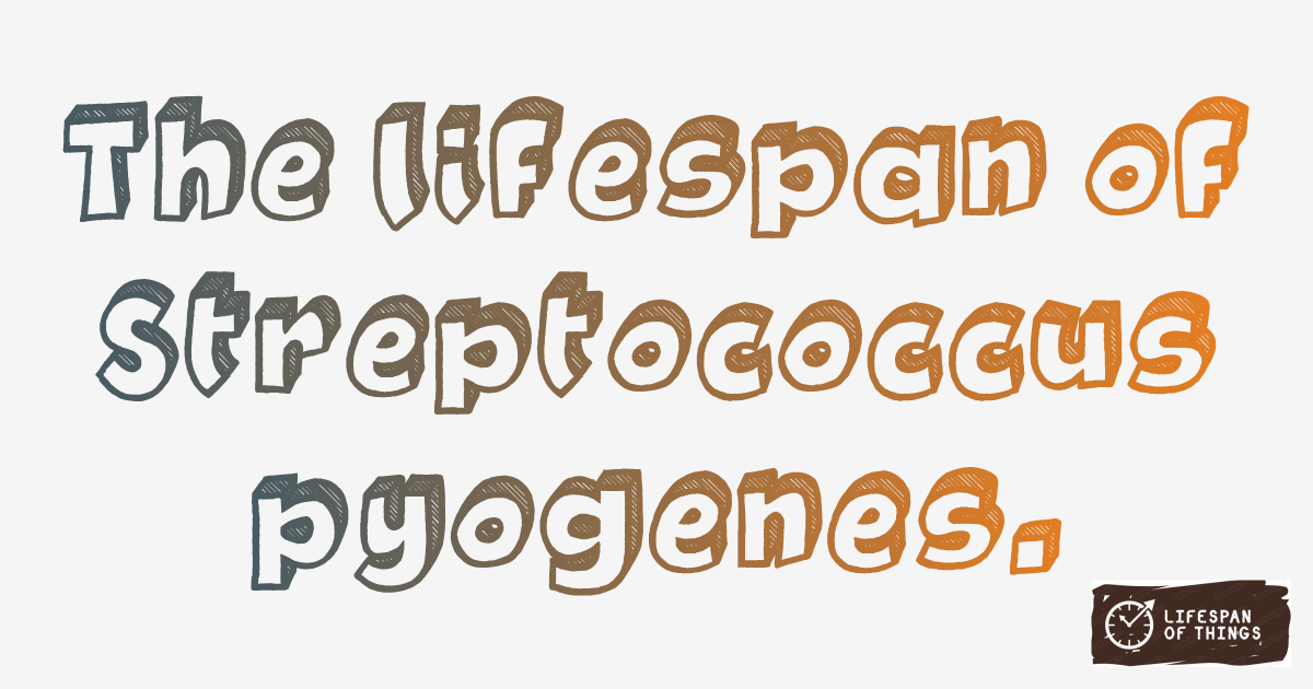 Lifespan of Streptococcus pyogenes