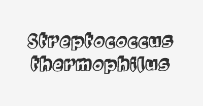 Thumbnail for lifespan of Streptococcus thermophilus