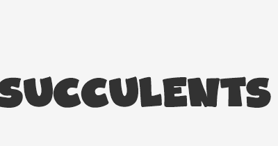 Thumbnail for lifespan of Succulents