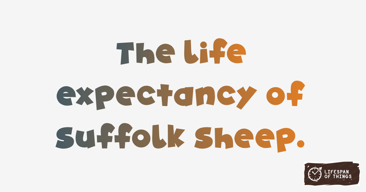 Lifespan of Suffolk Sheep