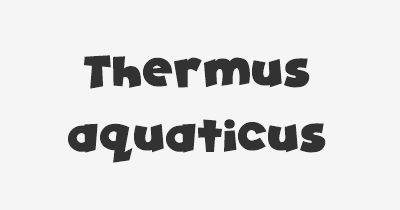 Thumbnail for lifespan of Thermus aquaticus