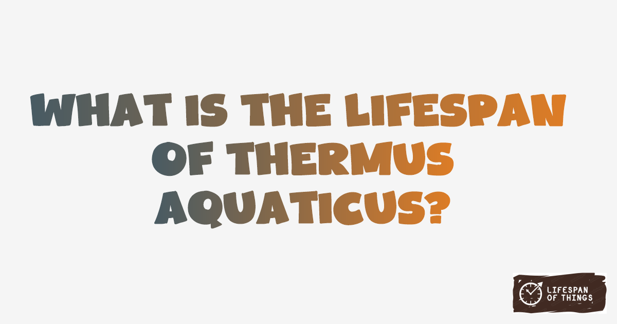 Lifespan of Thermus aquaticus