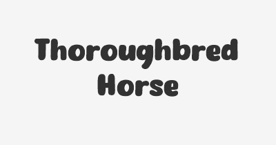 Thumbnail for lifespan of Thoroughbred Horse