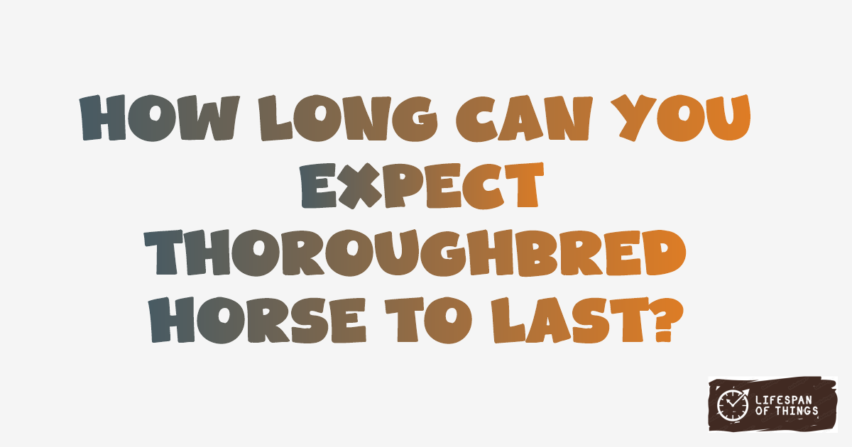 Lifespan of Thoroughbred Horse