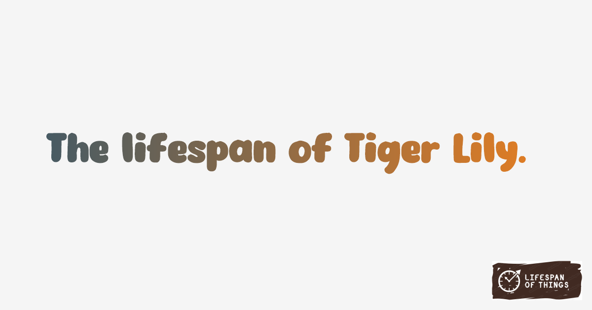 Lifespan of Tiger Lily