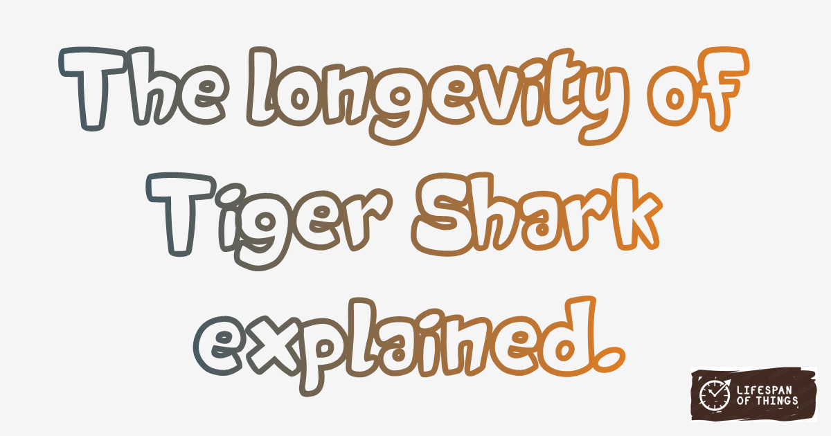 Lifespan of Tiger Shark