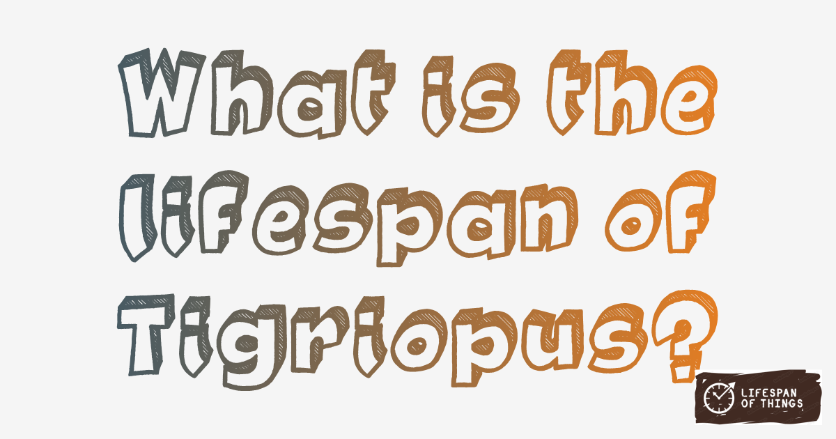 Lifespan of Tigriopus