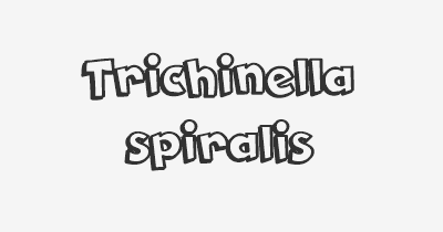 Thumbnail for lifespan of Trichinella spiralis