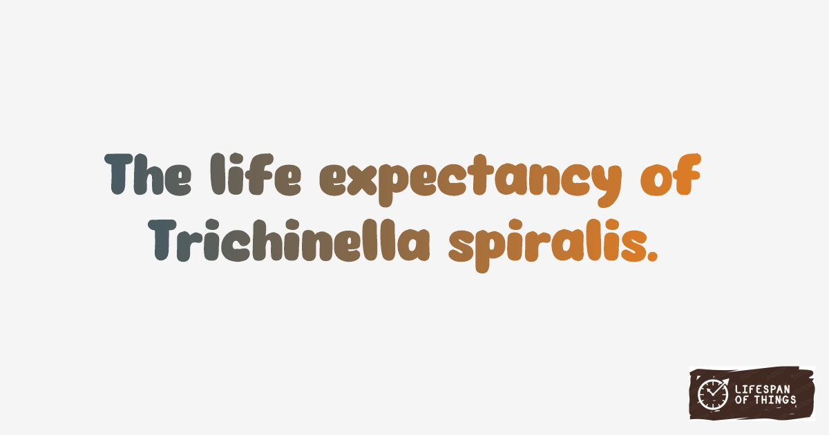 Lifespan of Trichinella spiralis
