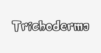 Thumbnail for lifespan of Trichoderma