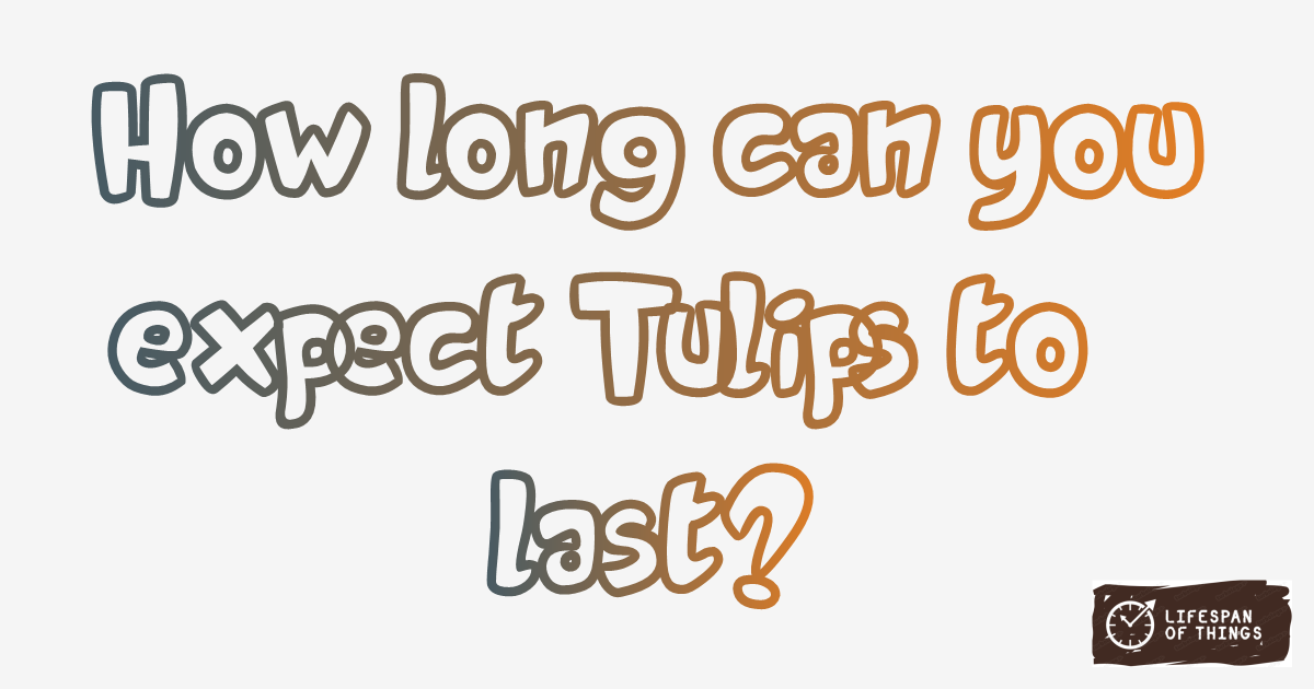 Lifespan of Tulips