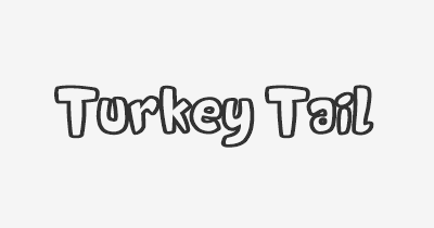 Thumbnail for lifespan of Turkey Tail