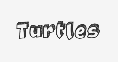 Thumbnail for lifespan of Turtles