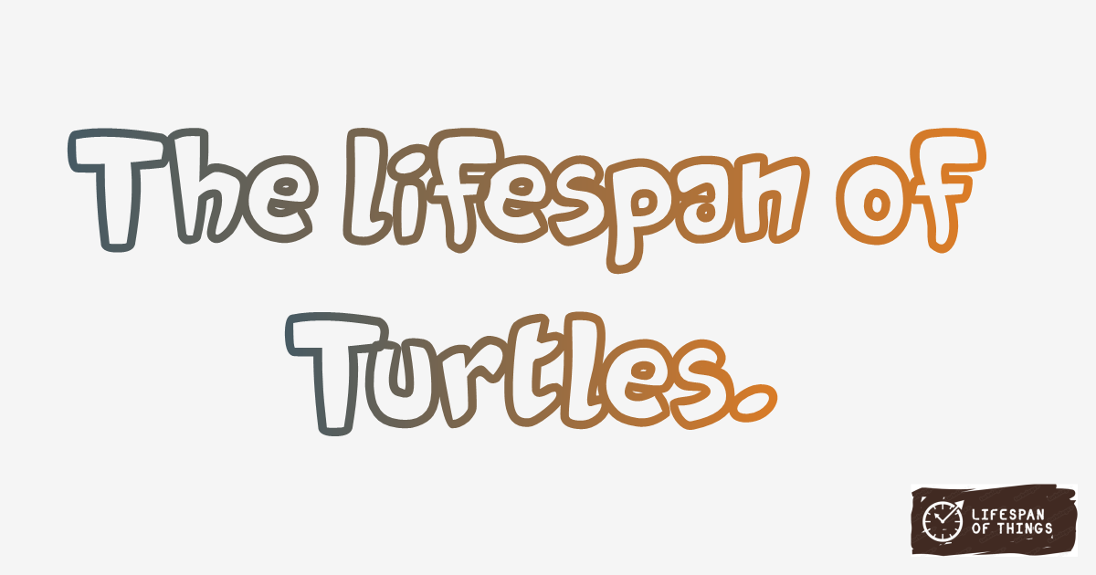 Lifespan of Turtles