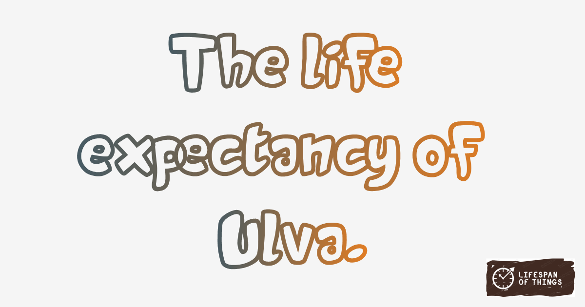 Lifespan of Ulva