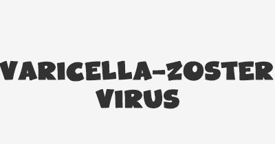 Thumbnail for lifespan of Varicella-Zoster Virus