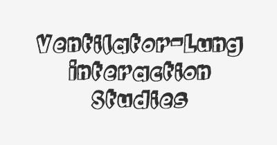 Thumbnail for lifespan of Ventilator-Lung Interaction Studies