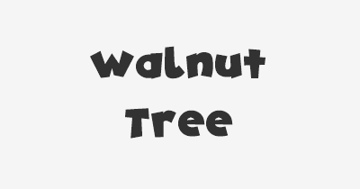 Thumbnail for lifespan of Walnut Tree