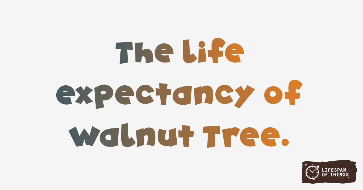 Lifespan of Walnut Tree